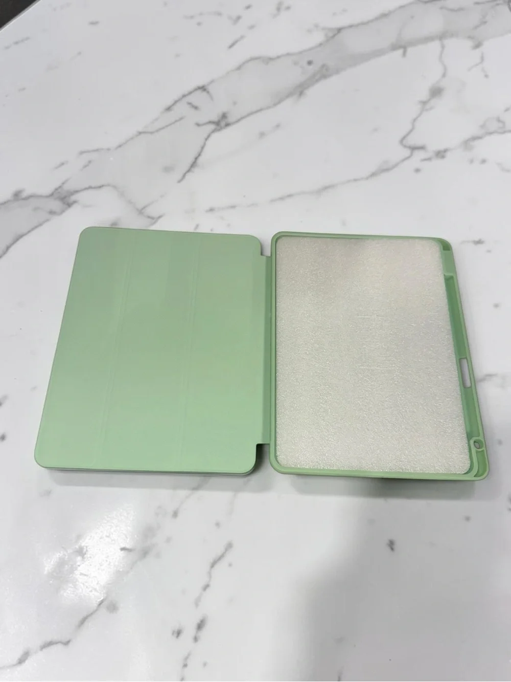 11 inch iPad Case - Matcha Green